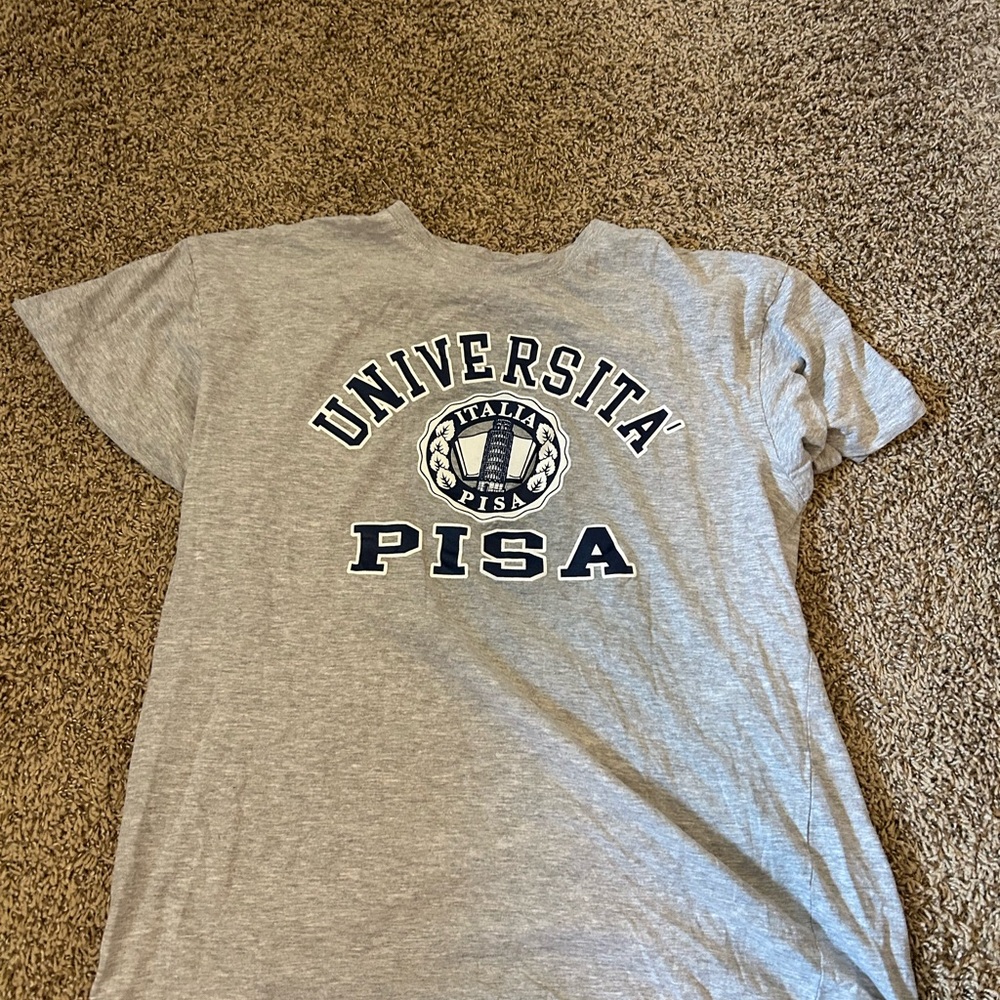 Gray Universita Pisa T-Shirt